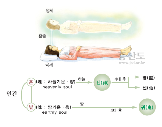 혼과넋